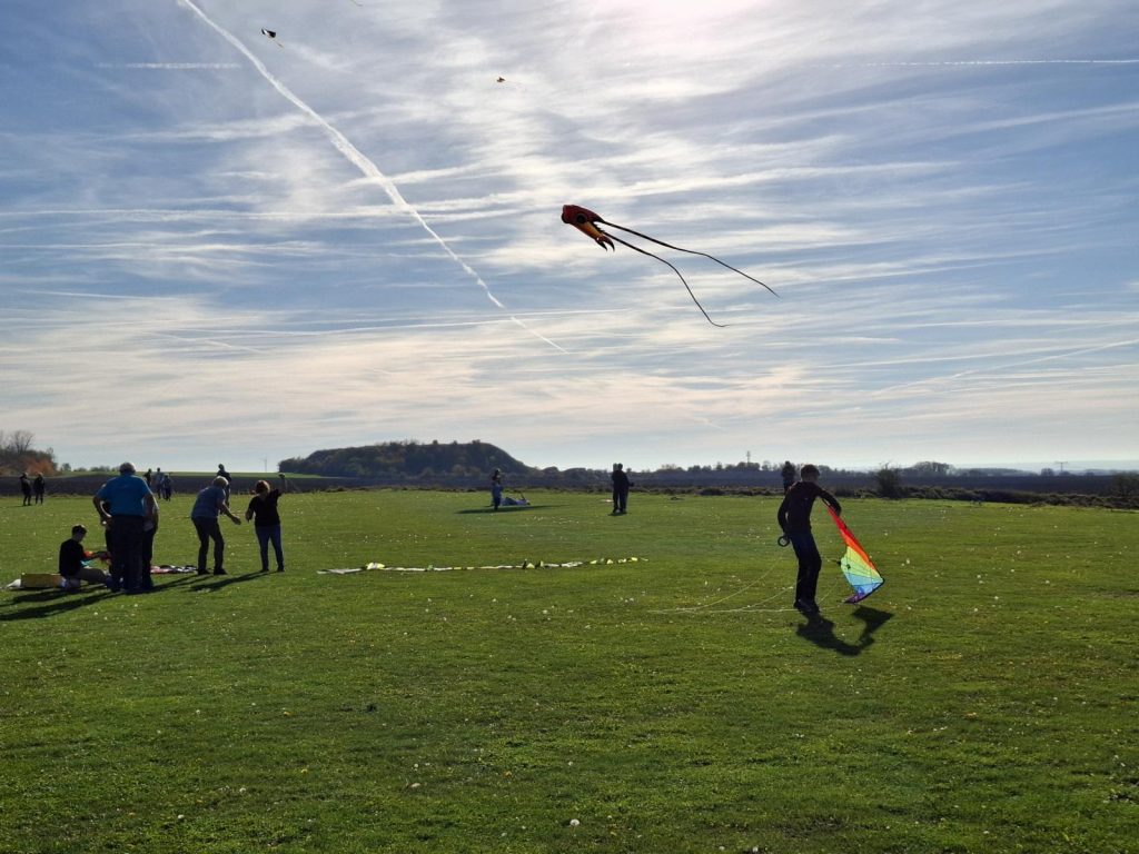 Drachenfest in Sömmerda - Drachen auf der Wiese