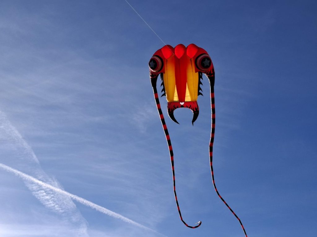 Drachenfest auf dem Modellflugplatz in Sömmerda - Figurdrachen 