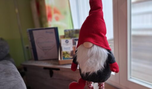 wichtel udo ferienwohnung prerow buchentraum 1/4 darss weststrand