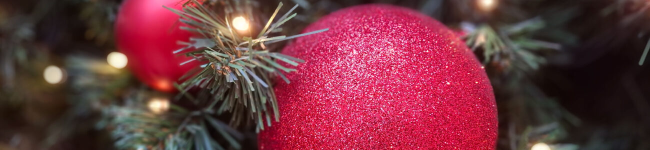 RC-Paragliding – Zwischen Wind und Weihnachten – ein fliegerischer Rückblick auf 2025