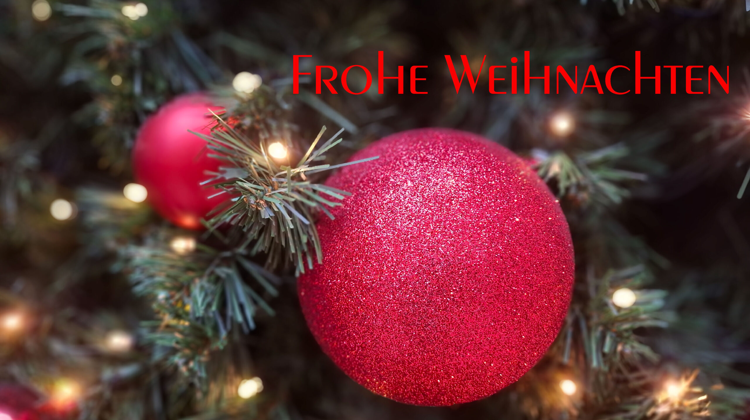 RC-Paragliding – Zwischen Wind und Weihnachten – ein fliegerischer Rückblick auf 2025