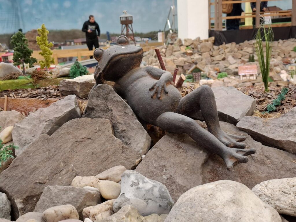 Ein Frosch auf der Modellbahnanlage bei Möbel Mahler in Siebenlehn